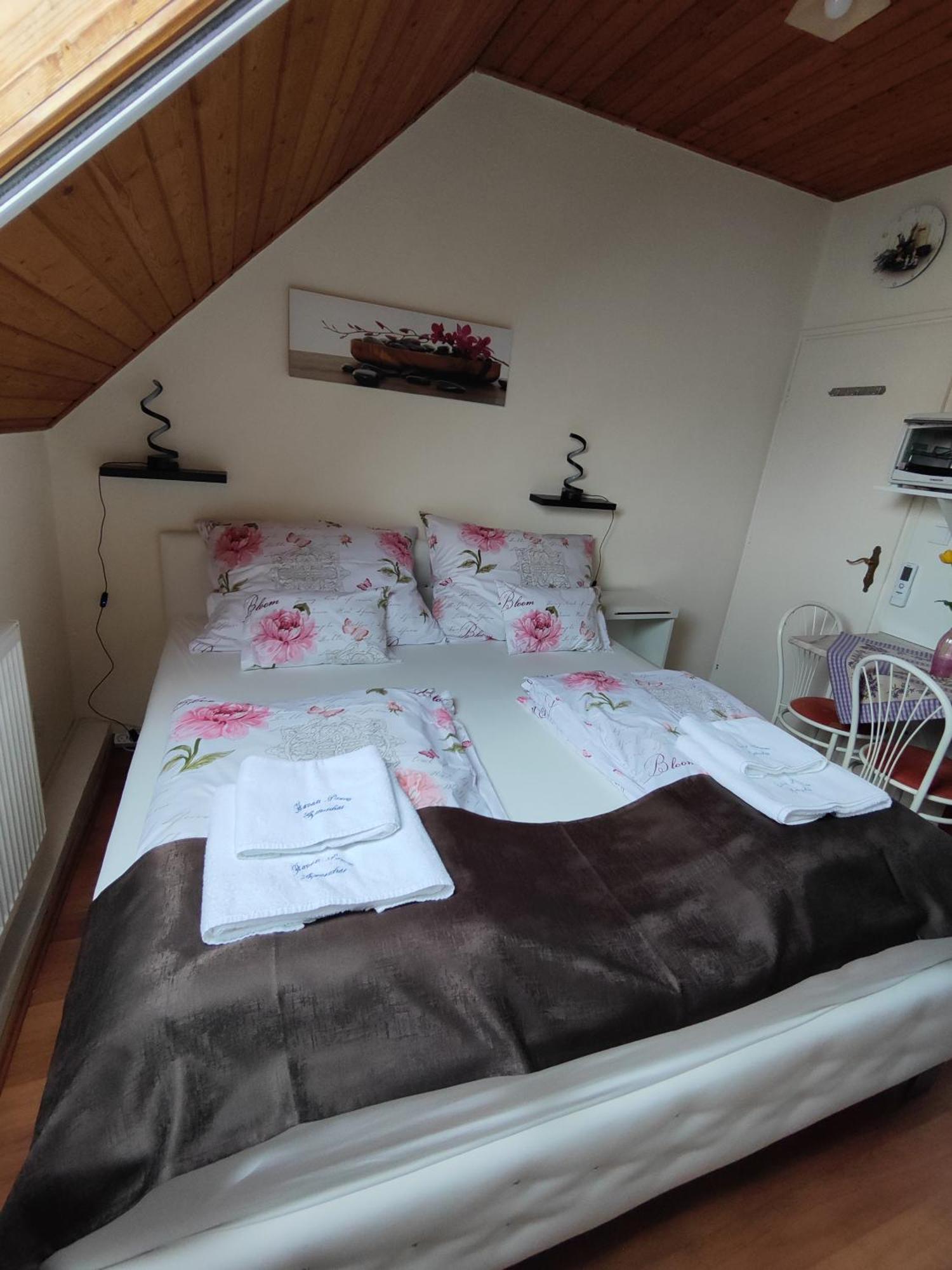 Havasi Vendeghaz Apartment Gyenesdias Ngoại thất bức ảnh