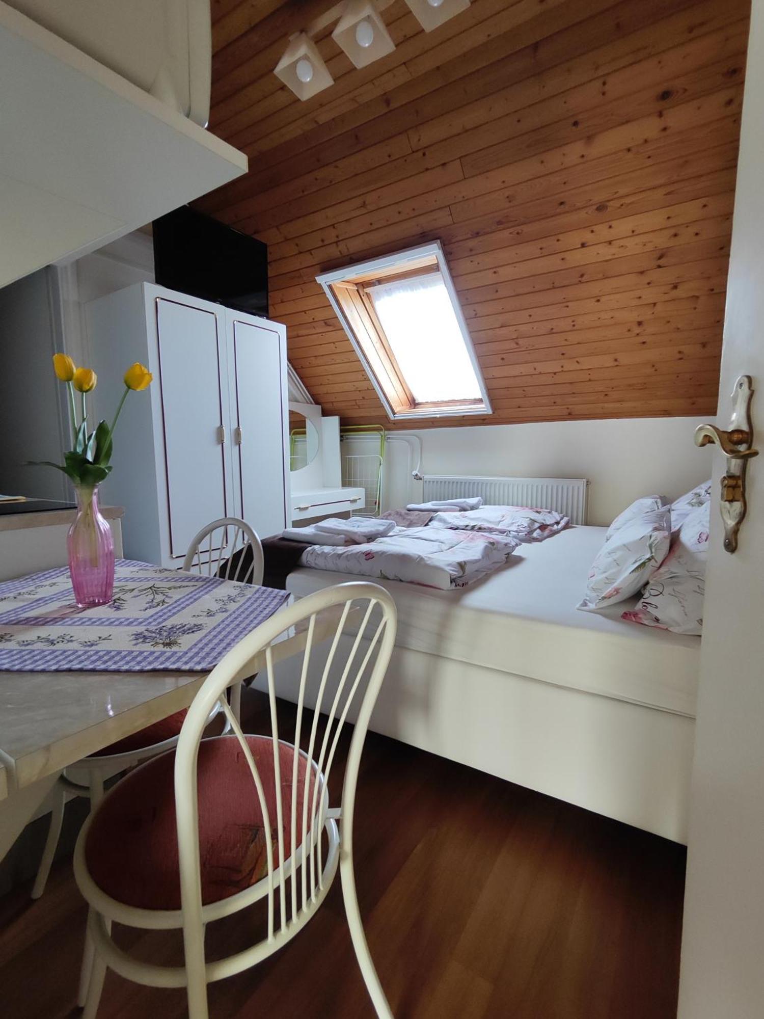 Havasi Vendeghaz Apartment Gyenesdias Ngoại thất bức ảnh