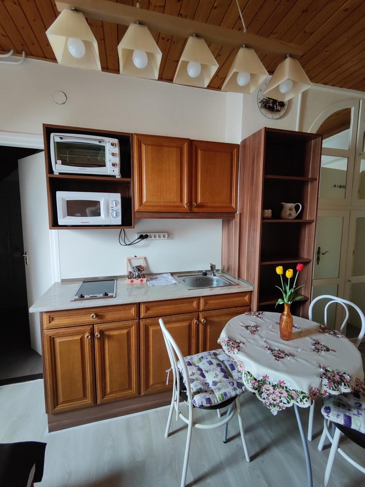 Havasi Vendeghaz Apartment Gyenesdias Ngoại thất bức ảnh